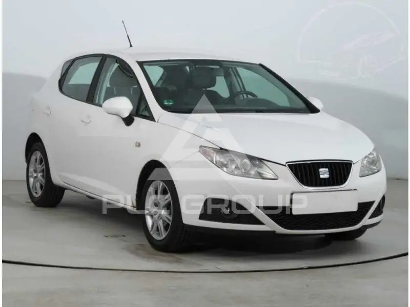 2010 Seat Ibiza
