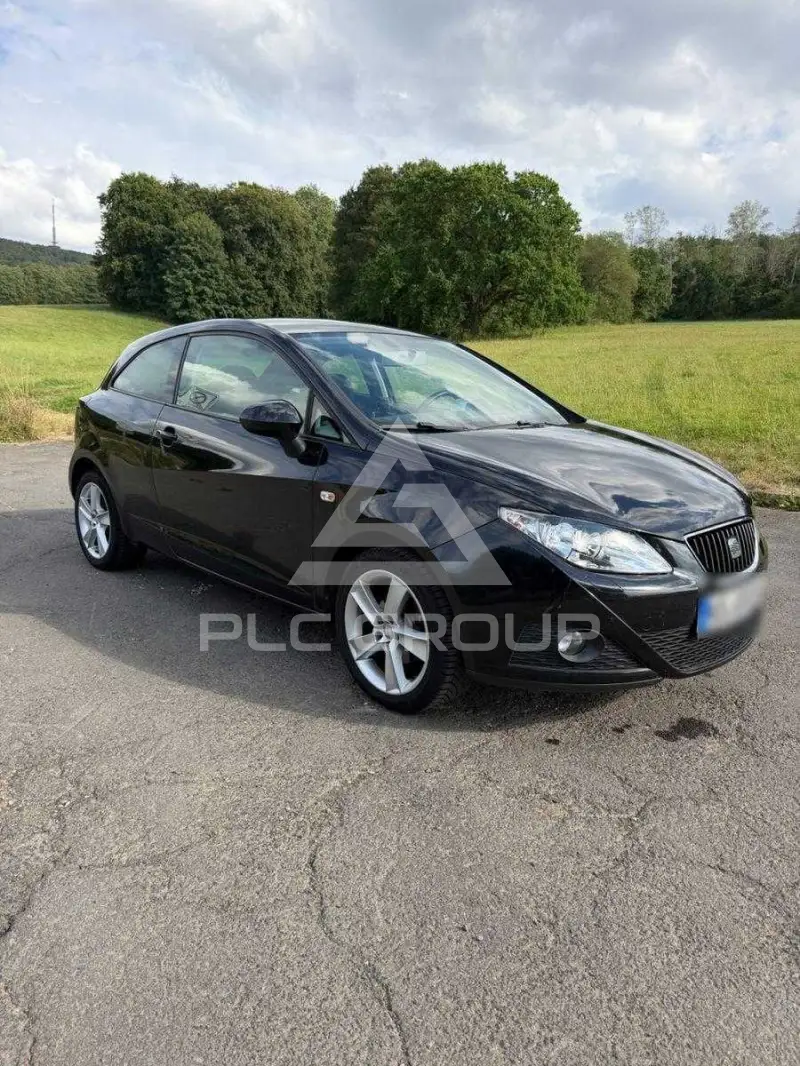 2010 Seat Ibiza