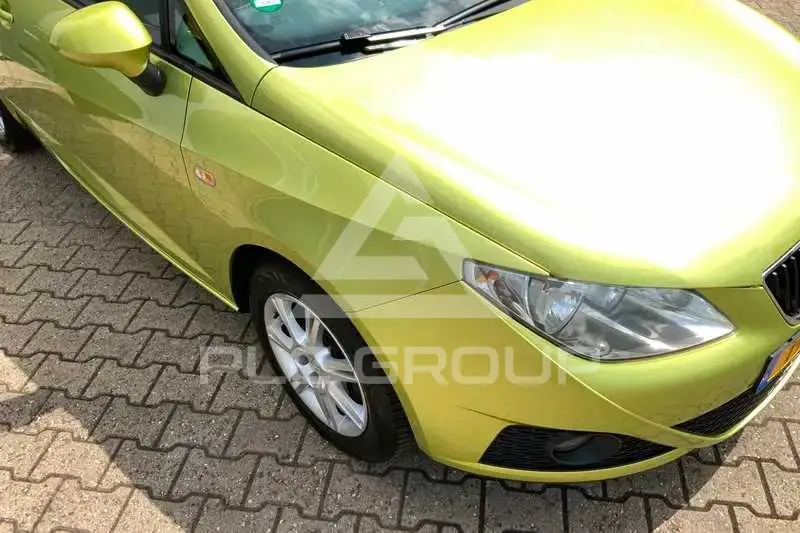 2010 Seat Ibiza