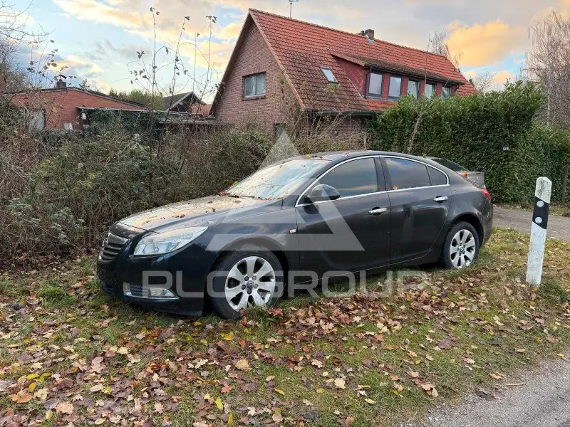 2010 Opel Insignia