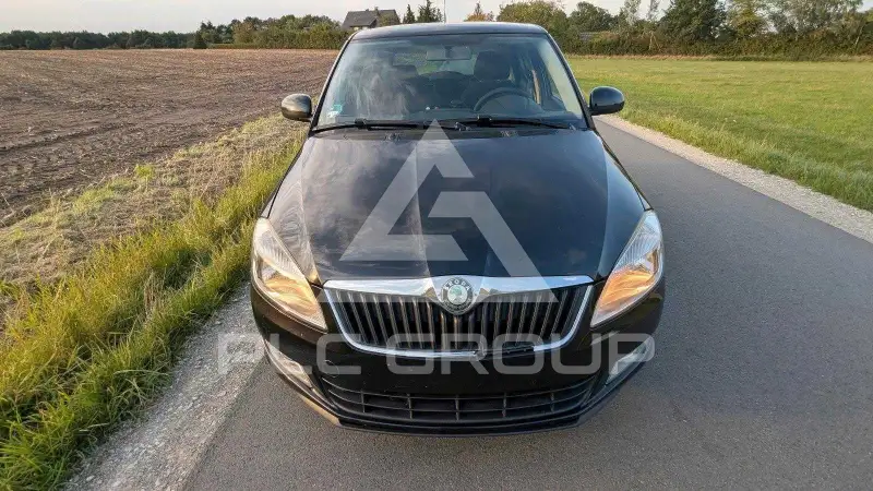2011 Skoda Fabia
