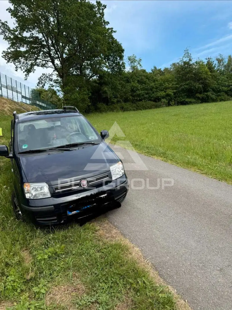 2011 Fiat Panda