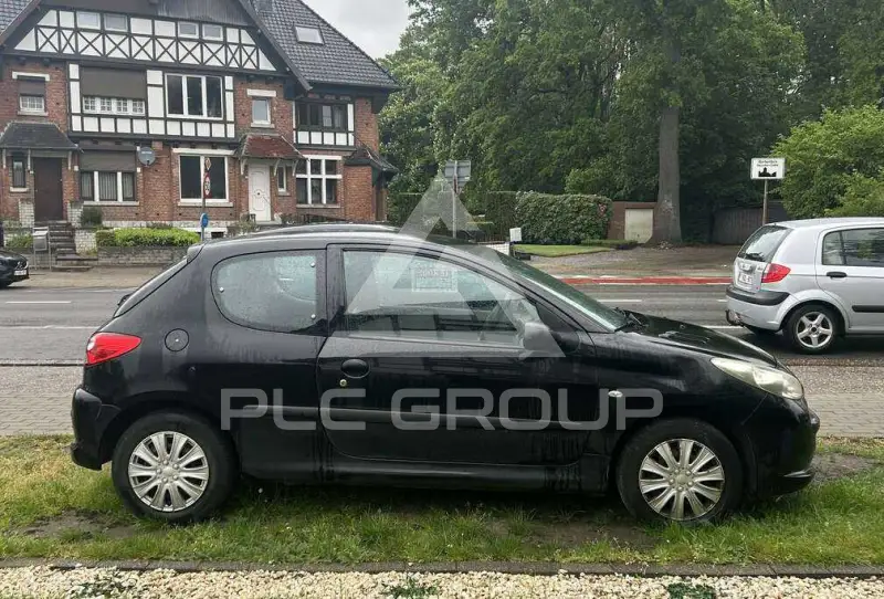 2011 Peugeot 206