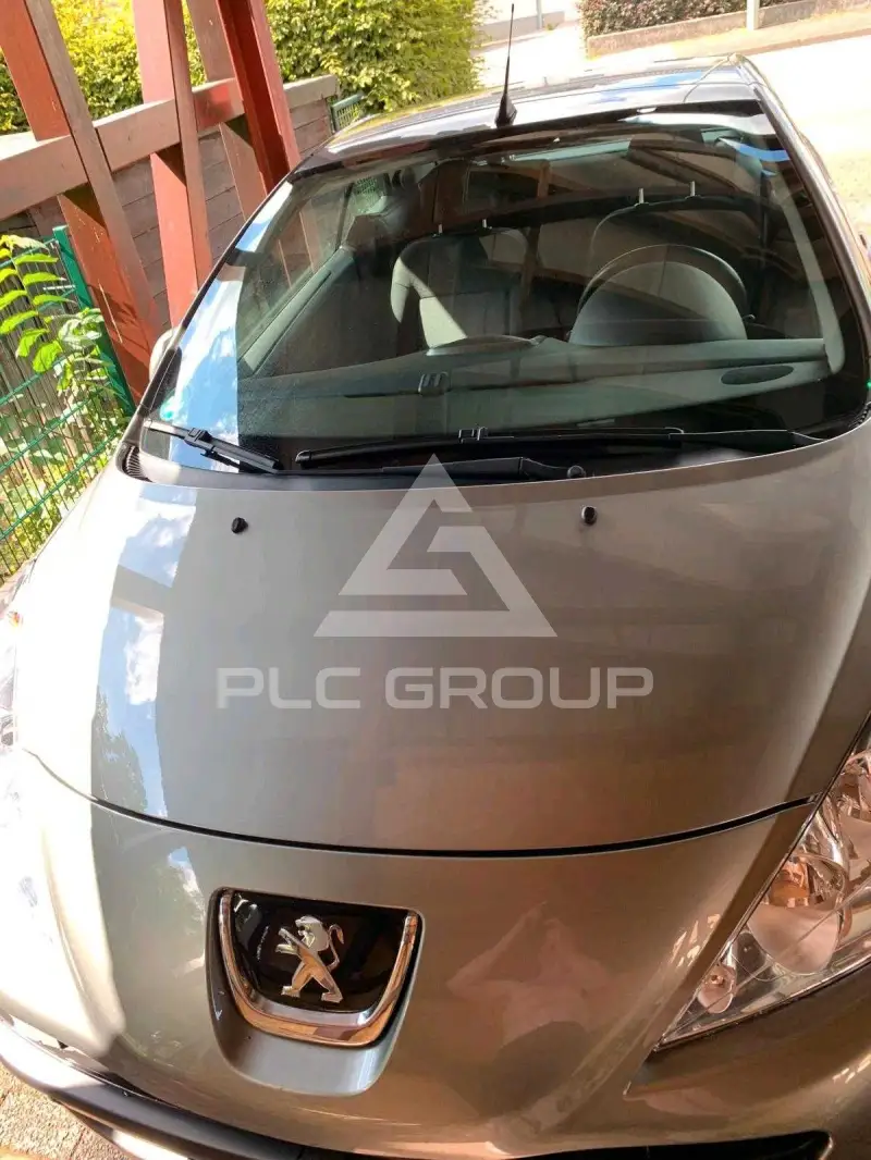 2011 Peugeot 207