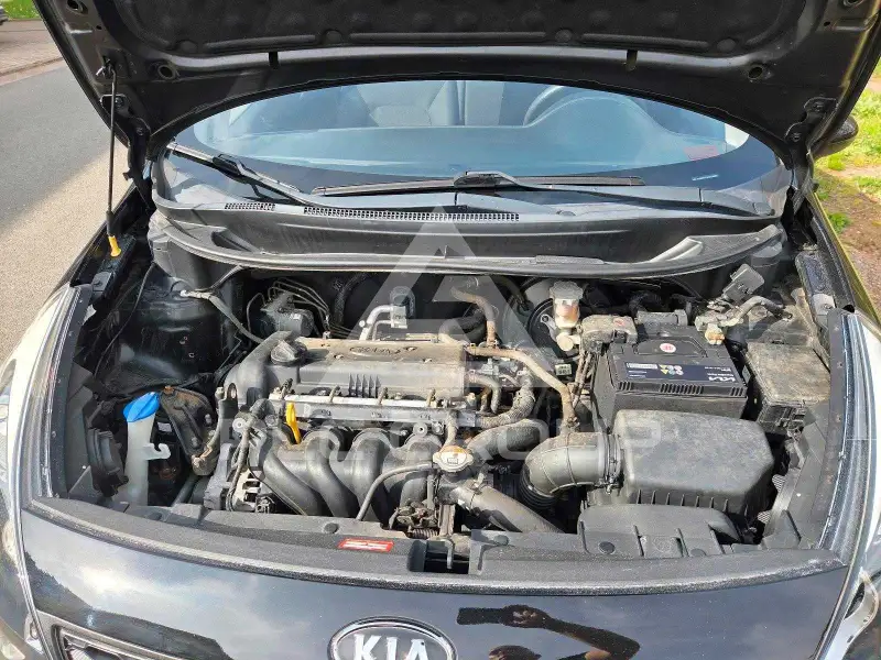 2011 KIA Rio