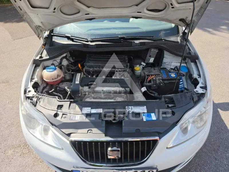2011 Seat Ibiza