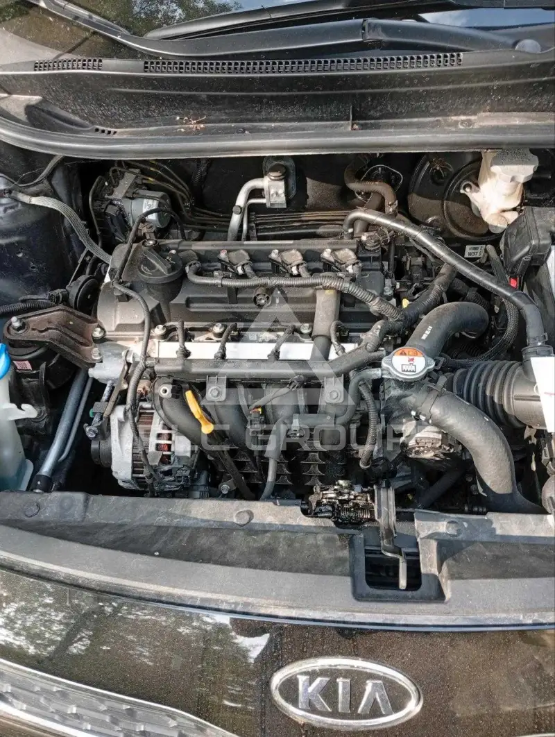 2012 KIA Rio