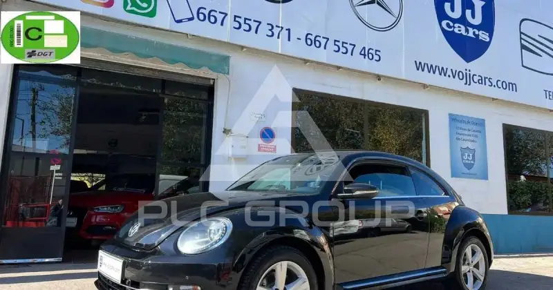 2012 Volkswagen BEETLE