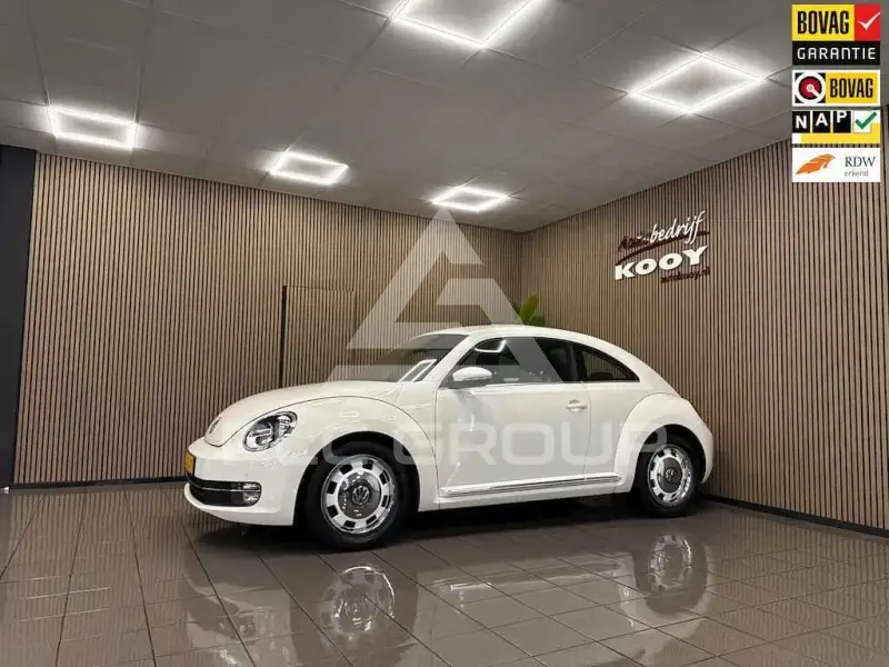 2012 Volkswagen BEETLE