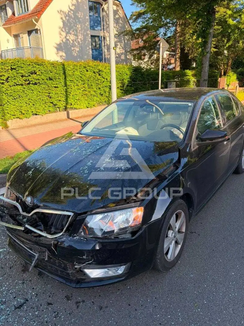 2013 Skoda Octavia