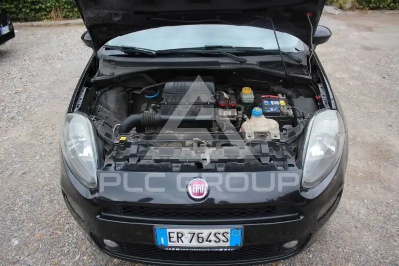 2013 Fiat Punto