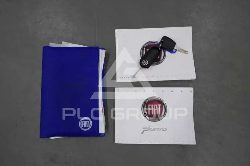 2013 Fiat Punto