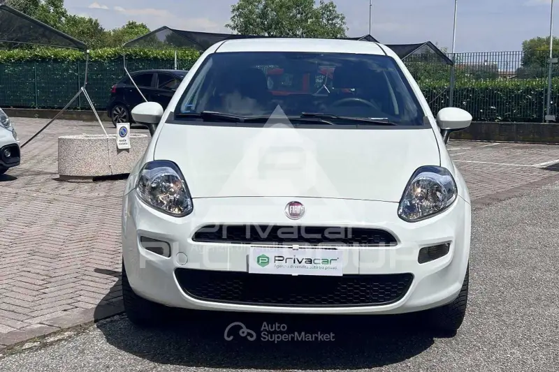 2013 Fiat Punto