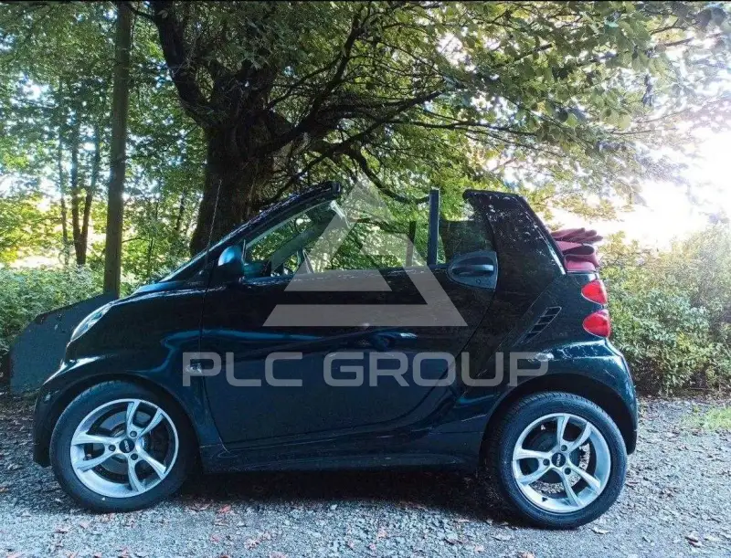 2013 Smart City Cabrio