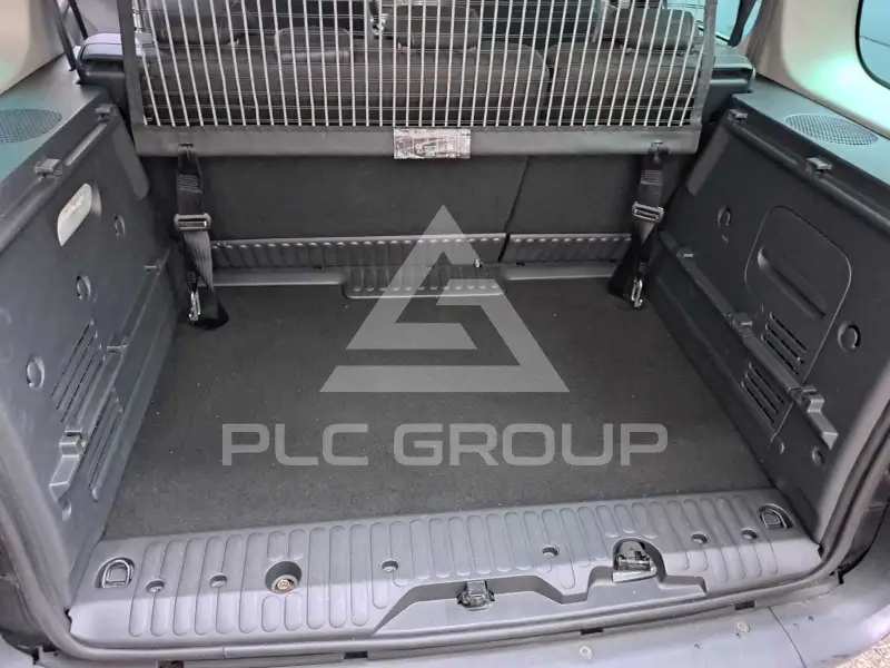 2013 Mercedes Benz Citan