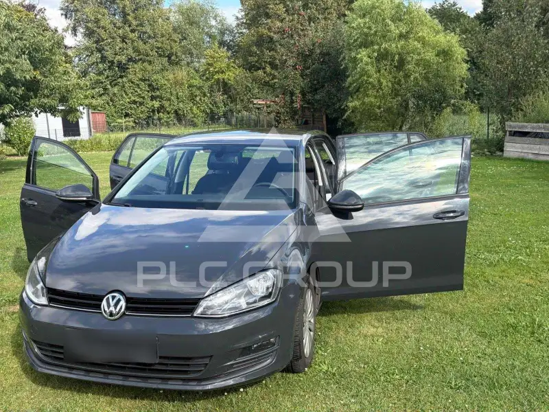 2013 Volkswagen GOLF
