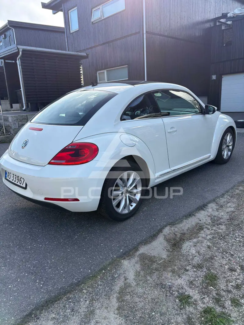 2013 Volkswagen BEETLE