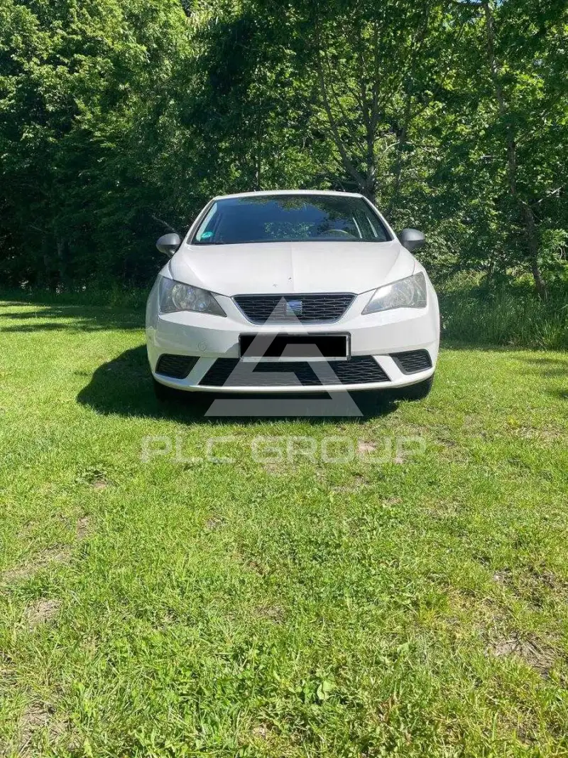 2013 Seat Ibiza