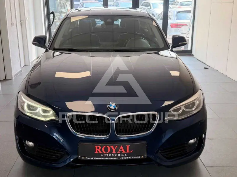 2014 BMW 218