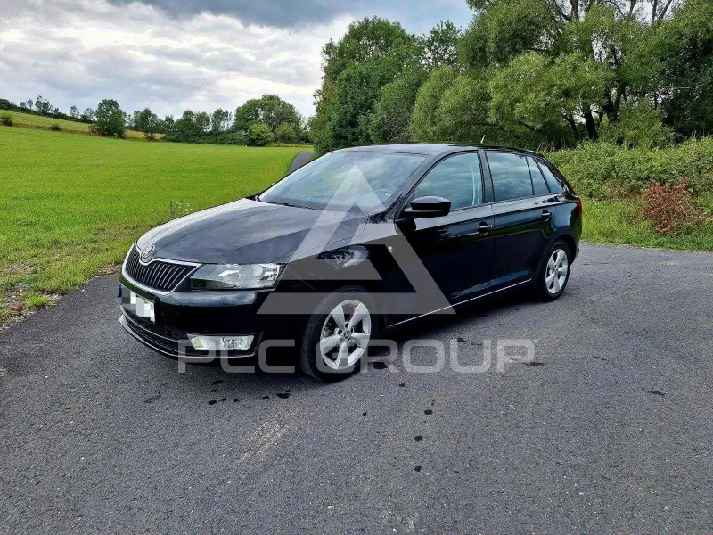 2014 Skoda Rapid
