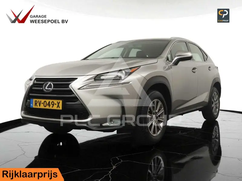 2014 Lexus NX