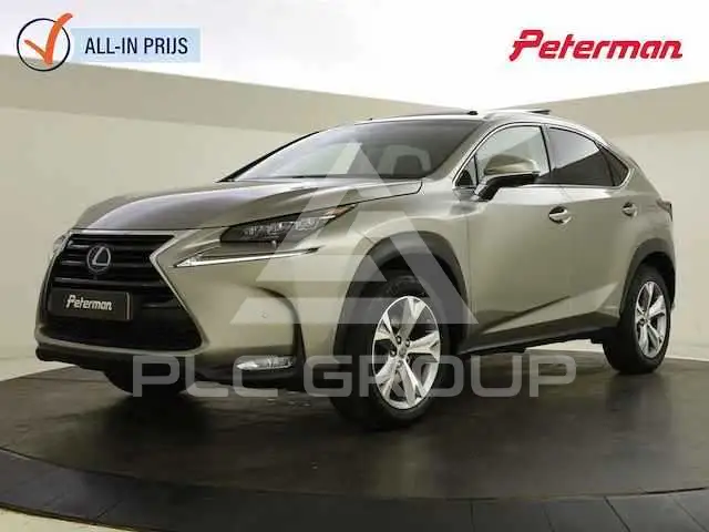 2014 Lexus NX