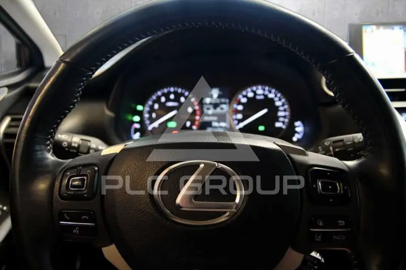 2014 Lexus NX