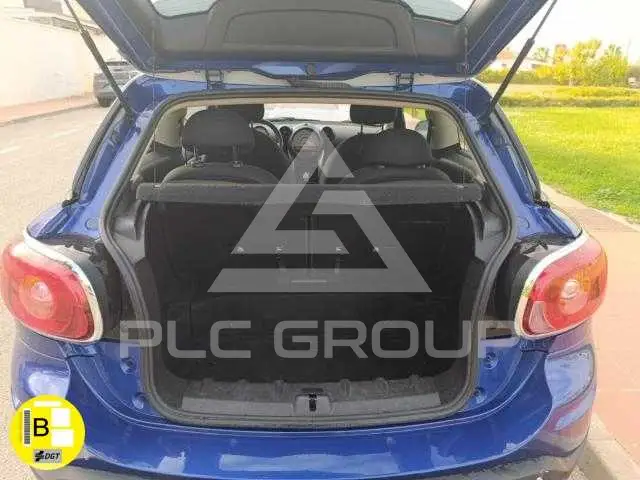 2014 Mini Paceman