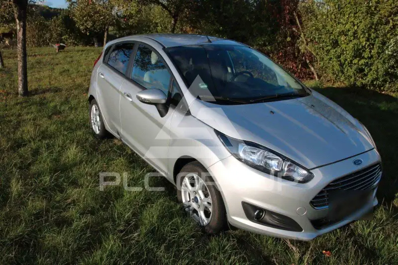 2014 Ford FIESTA