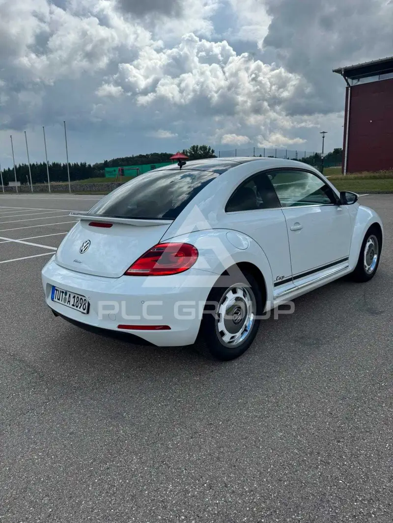 2014 Volkswagen BEETLE