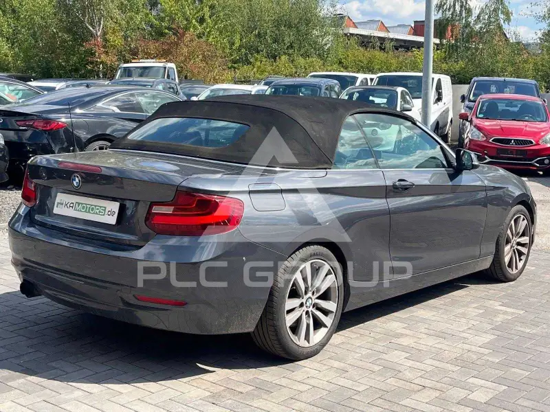 2015 BMW 218