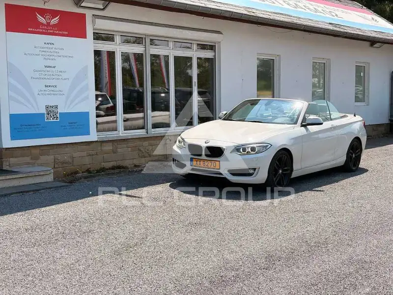 2015 BMW 218