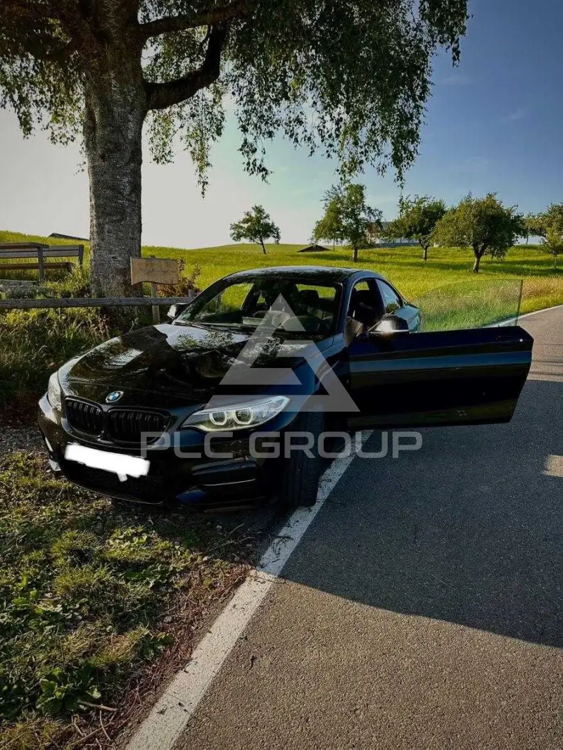 2015 BMW 218
