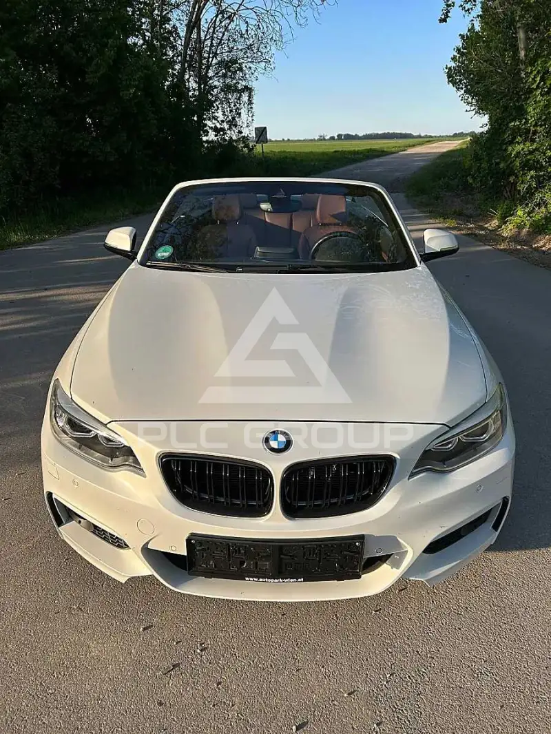 2015 BMW 218