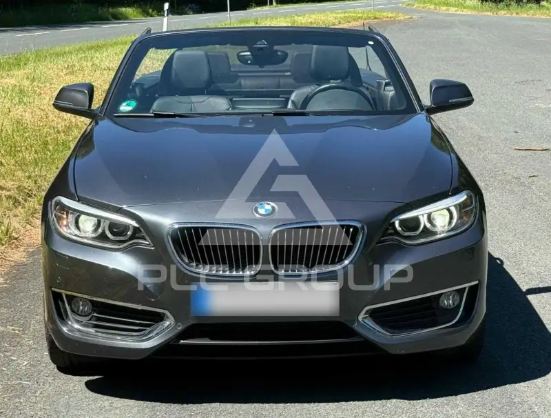 2015 BMW 218