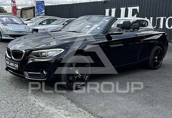 2015 BMW 218