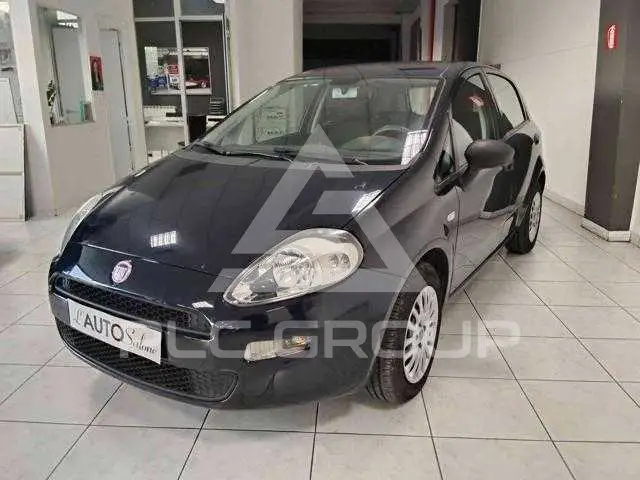 2015 Fiat Punto