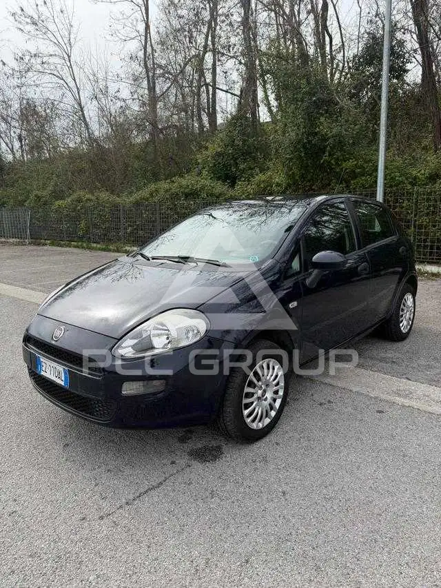 2015 Fiat Punto