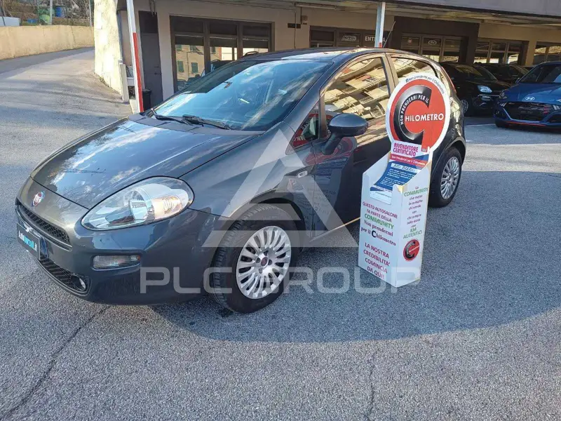 2015 Fiat Punto