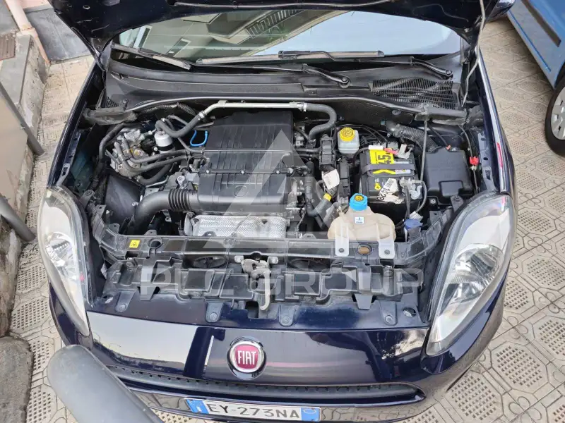 2015 Fiat Punto