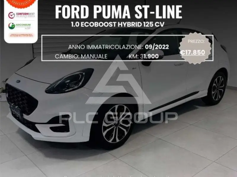 2015 Ford Puma