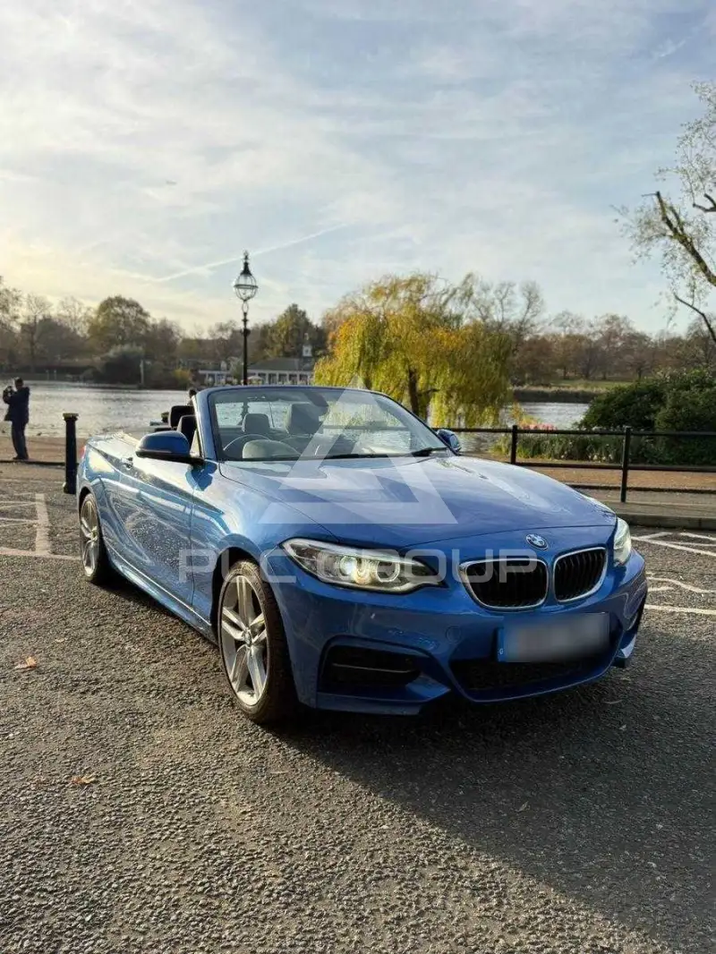 2017 BMW 218