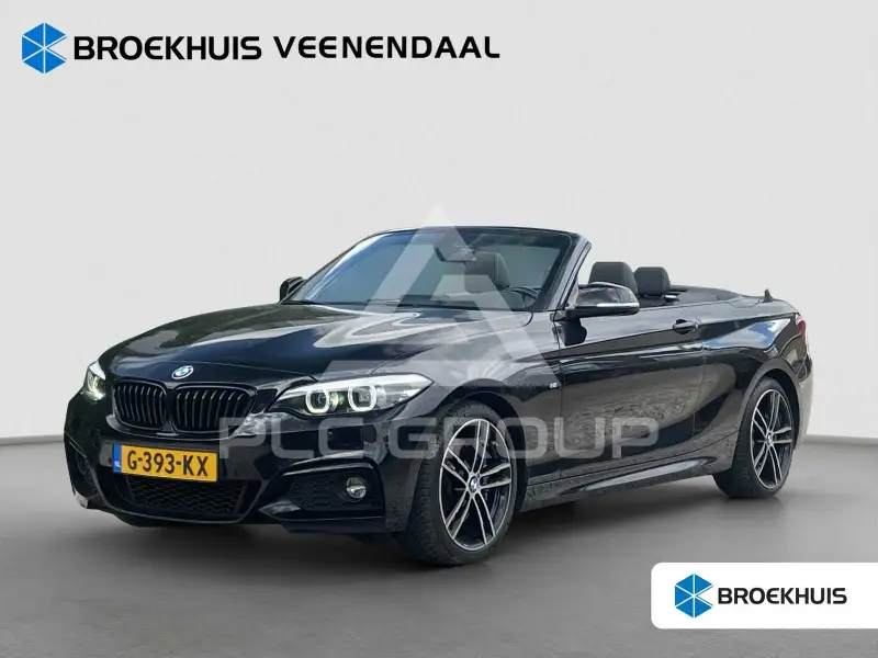 2017 BMW 218