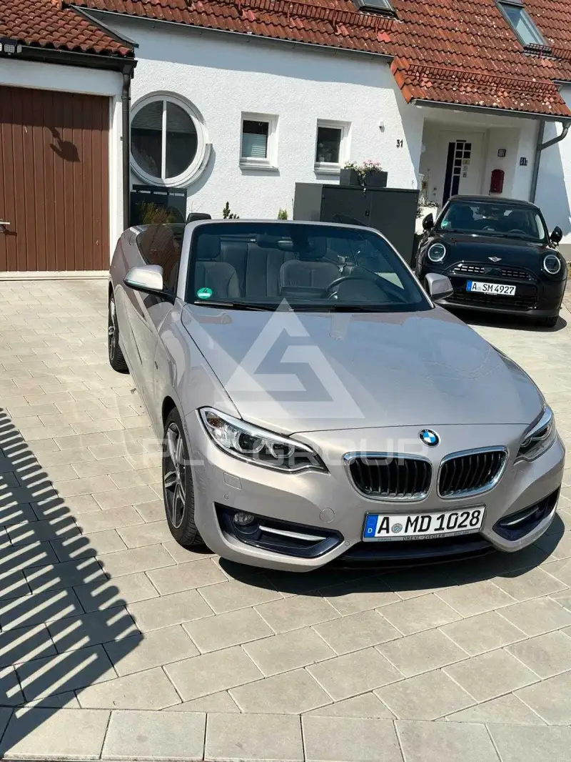 2017 BMW 218