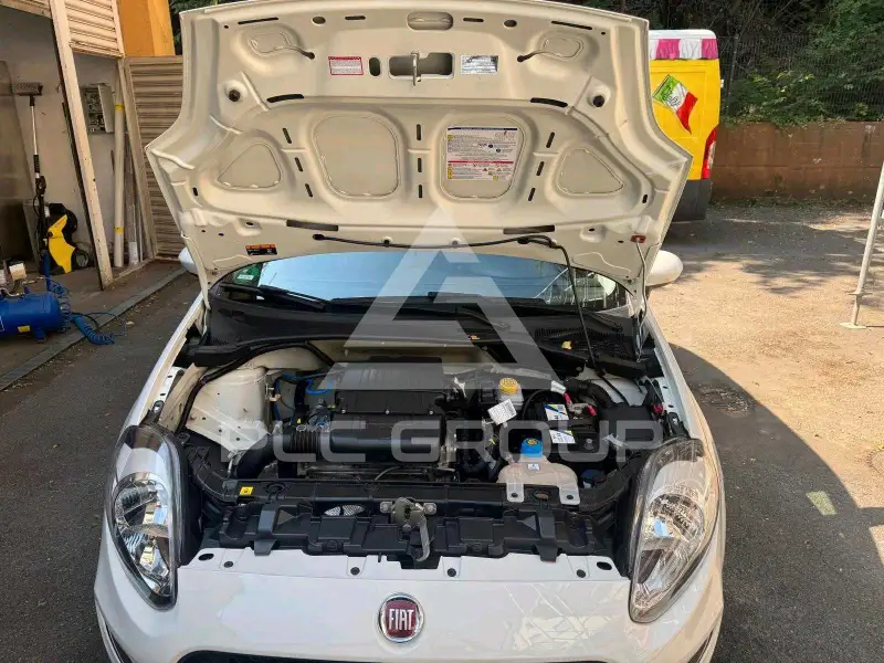 2017 Fiat Punto