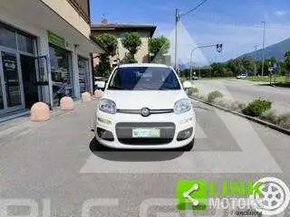 2017 Fiat Panda