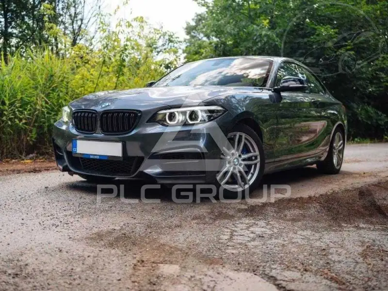2019 BMW 218