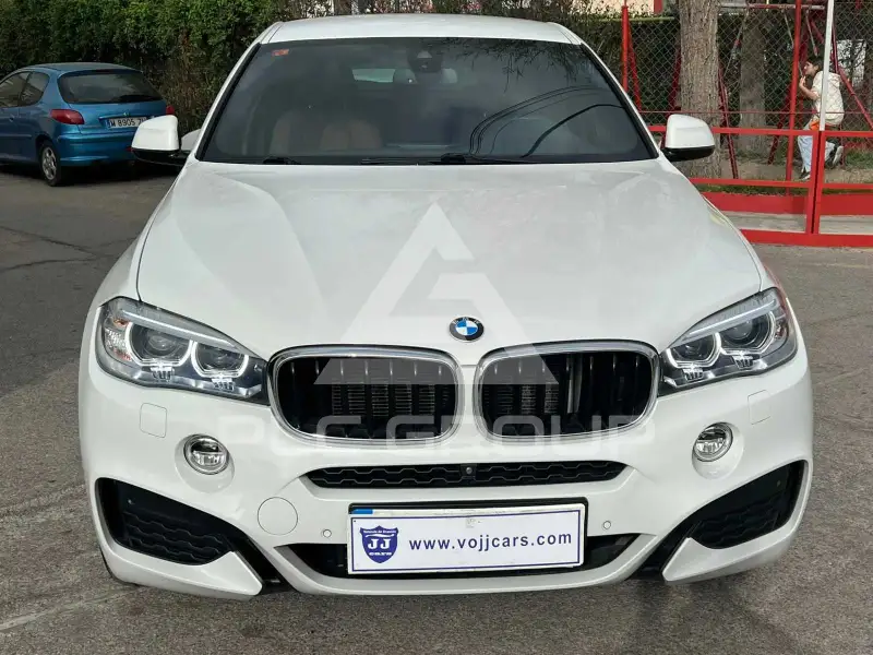 2019 BMW X6