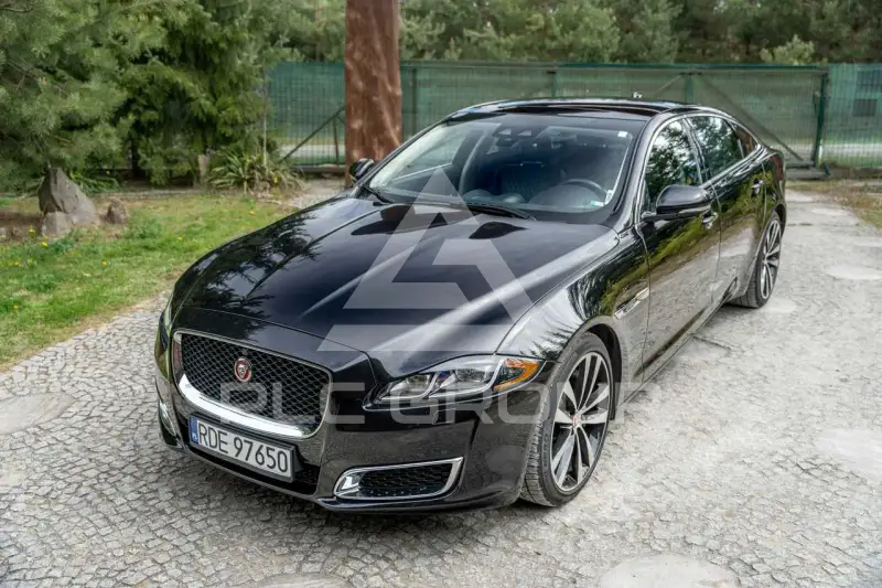 2019 Jaguar XJ