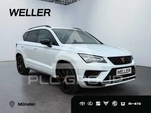 2019 Cupra Other